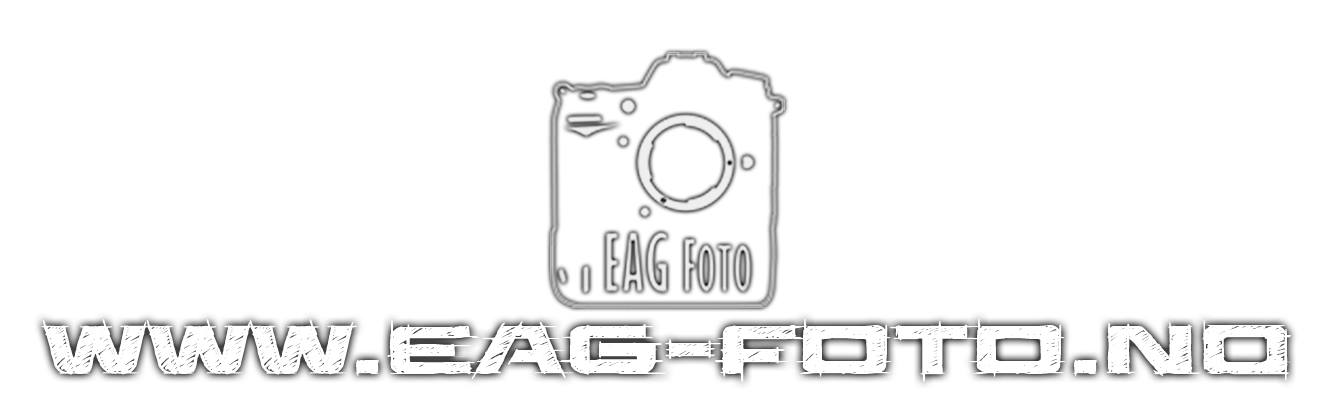 EAG-Foto